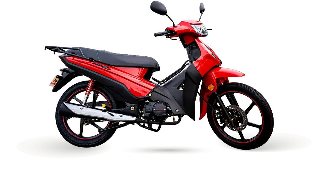 PHOENIX S EFI